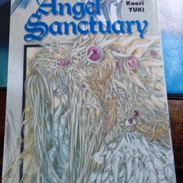 Angel Sanctuary Tome 13