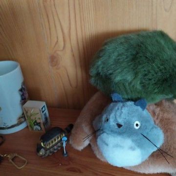 Lot de Goodies Totoro divers