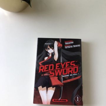 Tome 1 du manga Red eyes sword ( Akame ga kill ) 