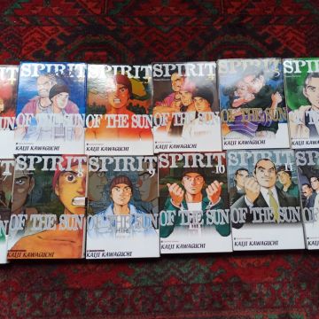 Manga Spirit of the Sun : Tome 1 à 12