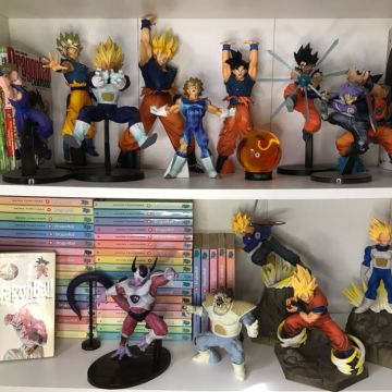 Collection de Figurines Dragon Ball
