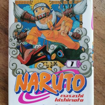 Naruto (volume 1 à 14)