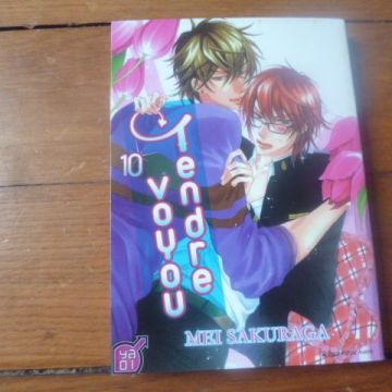 Tendre voyou tome 10 (manga rare yaoi BL)