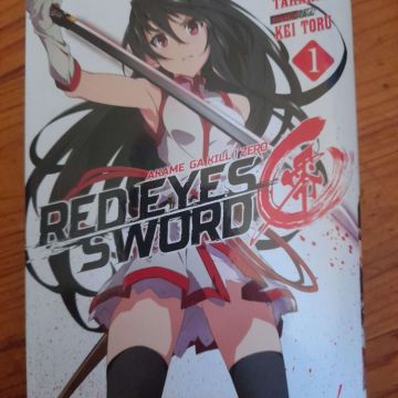 Red eyes sword zero - tome 1