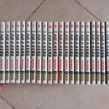 Manga I Am a Hero intégrale 22 tomes