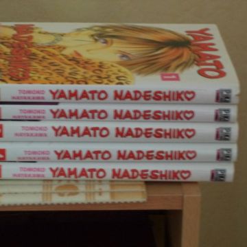 Yamato Nadeshiko - Tome 1 à 5