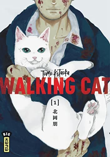 Illustration de la série Walking Cat