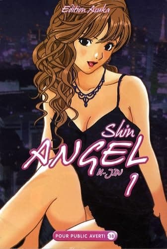 Illustration de la série Shin Angel