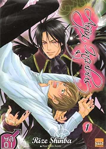 Illustration de la série Aijin Incubus