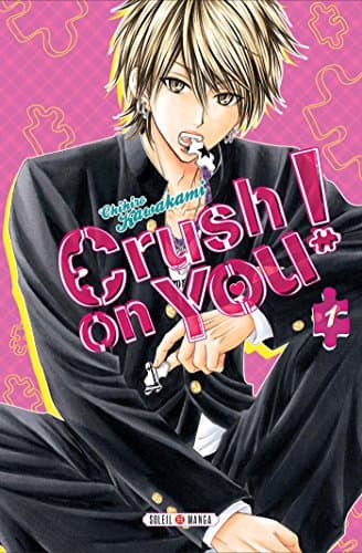 Illustration de la série Crush on You