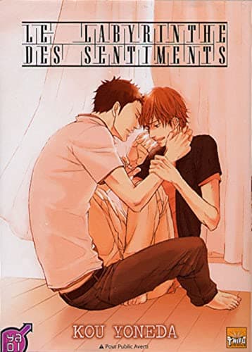 Illustration de la série Labyrinthe des sentiments (le)