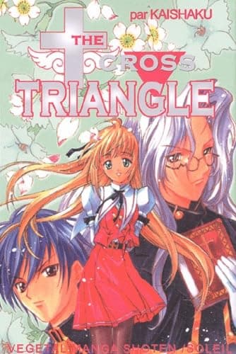 Illustration de la série Cross Triangle