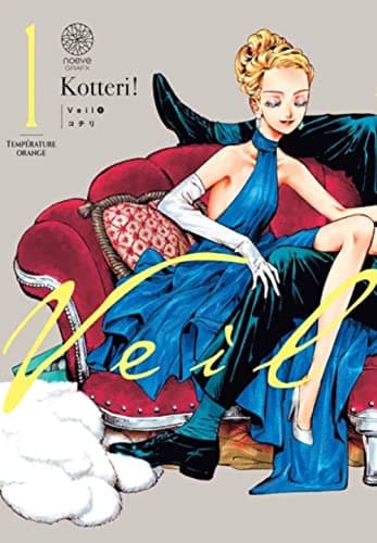 Illustration de la série Veil