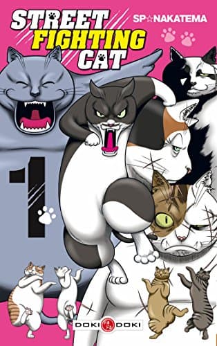 Illustration de la série Street Fighting Cat