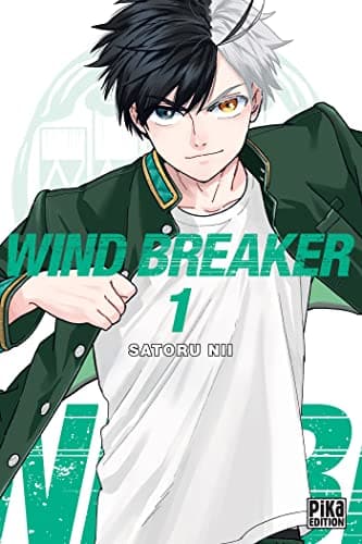 Illustration de la série Wind Breaker