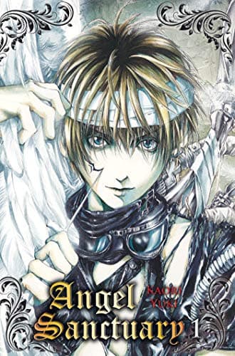 Illustration de la série Angel Sanctuary