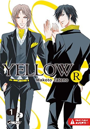 Illustration de la série Yellow R