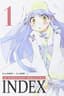 A Certain Magical Index