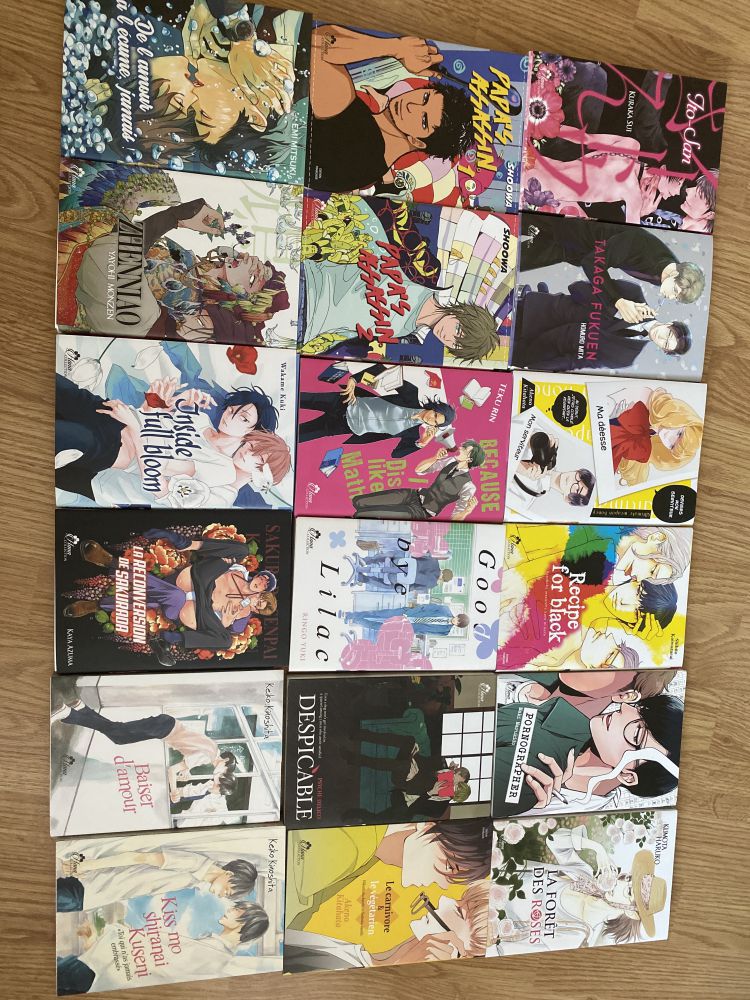 La reconversion de Sakurada Livre Manga - Yaoi Hana Collection 