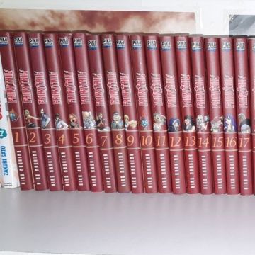 Fairy tail tomes 1 à 17