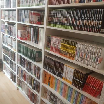 Plus de 10 000 manga (500 séries)