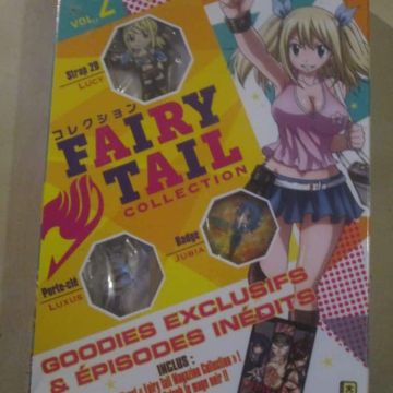Fairy Tail 231 à 234