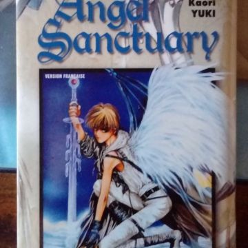 Angel Sanctuary Tome 2