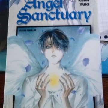 Angel Sanctuary Tome 11