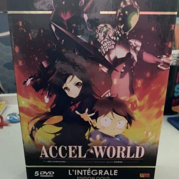 Accel World intégrale édition gold