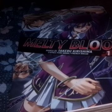 Melty blood tome 1
