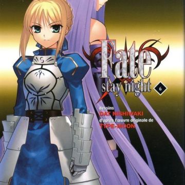 Fate stay night tome 6