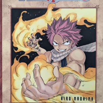 Fairy Tail 19 - Collector