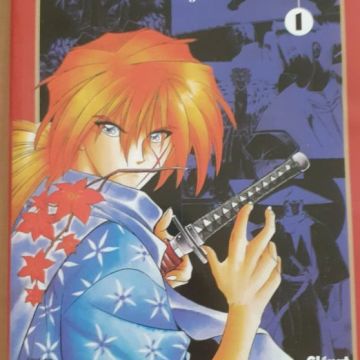 Kenshin Guide Book lot des vols 1&2