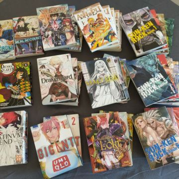 Plusieurs Lots de Mangas