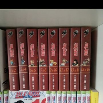 Fairy Tail Tome édition double 1 à 16 