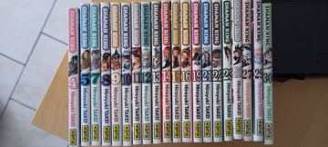 Shaman King (20 tomes)