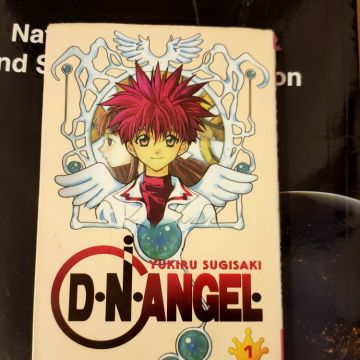 Dn Angel tome 1 