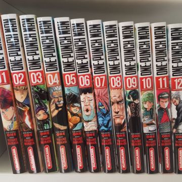 One Punch Man : Tome 1 À 12