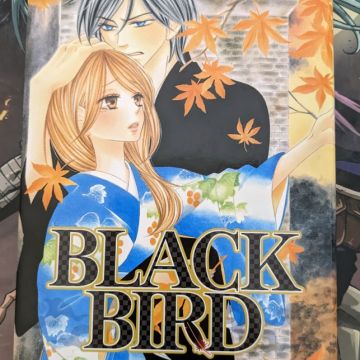 Manga Black Bird (tome 17)