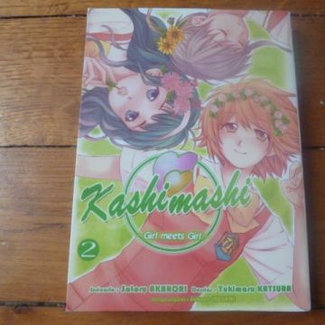 kashimashi tome 2 (manga rare)