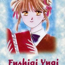 [Intégrale] Fushigi yugi (couverture papier)