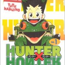 [Lot] Hunter x hunter 1 à 34