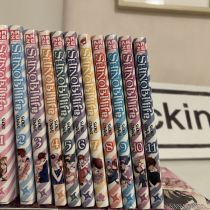 Shinobi life (11 volumes)