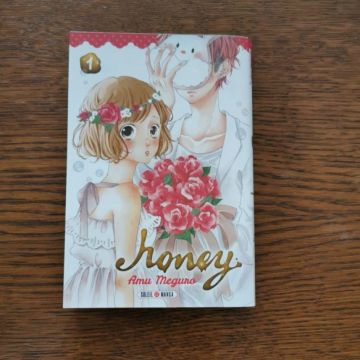 Manga honey 1