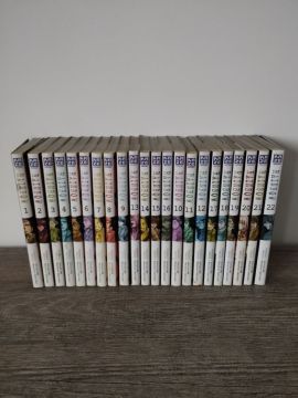 Manga rainbow intégrale 