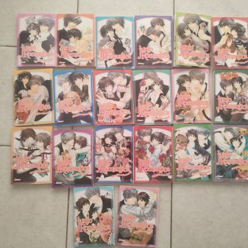 20 tomes manga yaoi boy's love Junjo Romantica