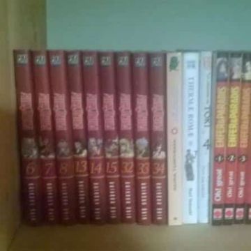 Fairy Tail (lot de 9 tomes 6-7-8-13-14-15-32-33-34))