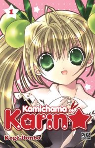 Volume 1 de Kamichama Karin