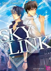 Volume 1 de Sky Link